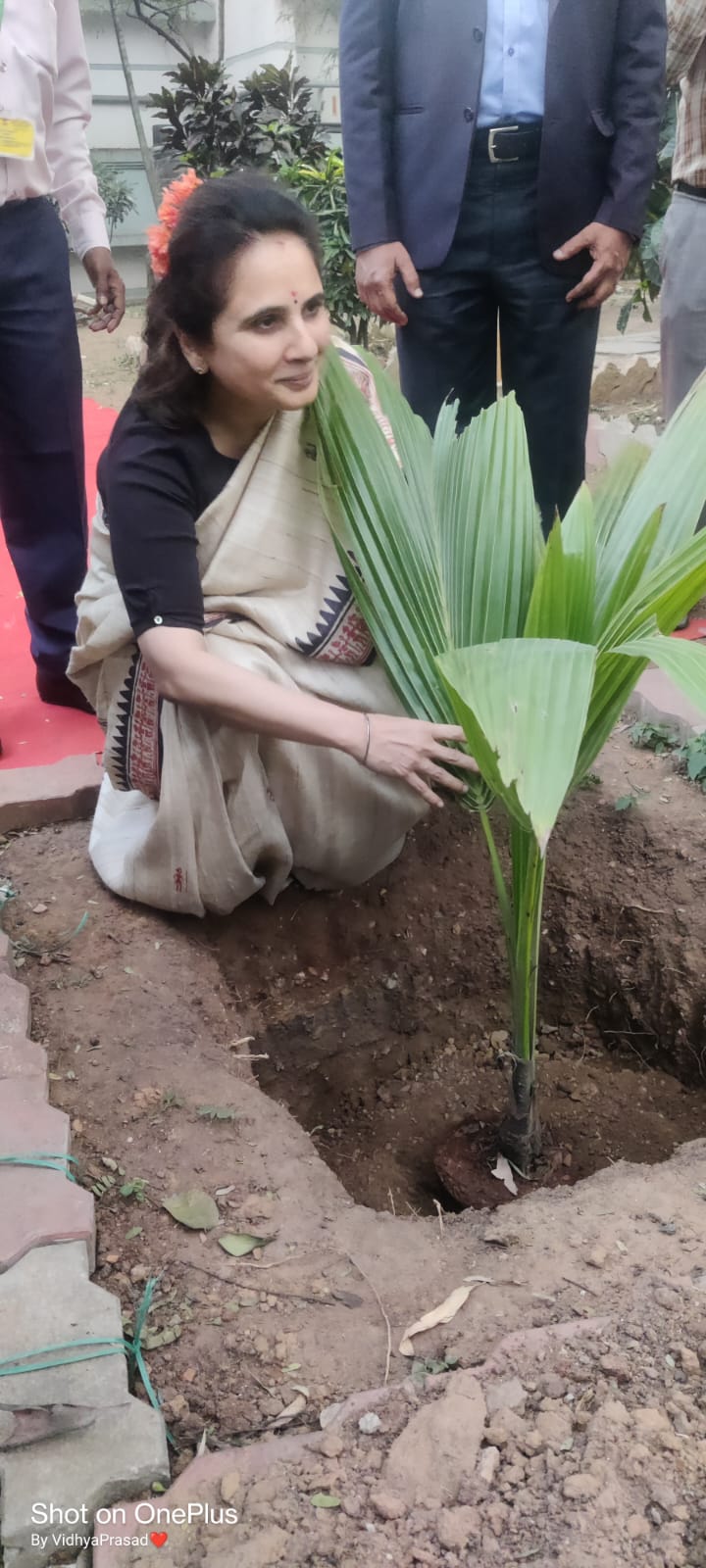 DG madam planting tree